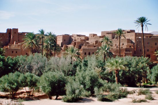 Oase mit Kasbah