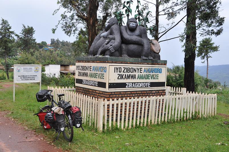 Gorillas in the mist - nicht mehr weit bis zum Virunga National Parc