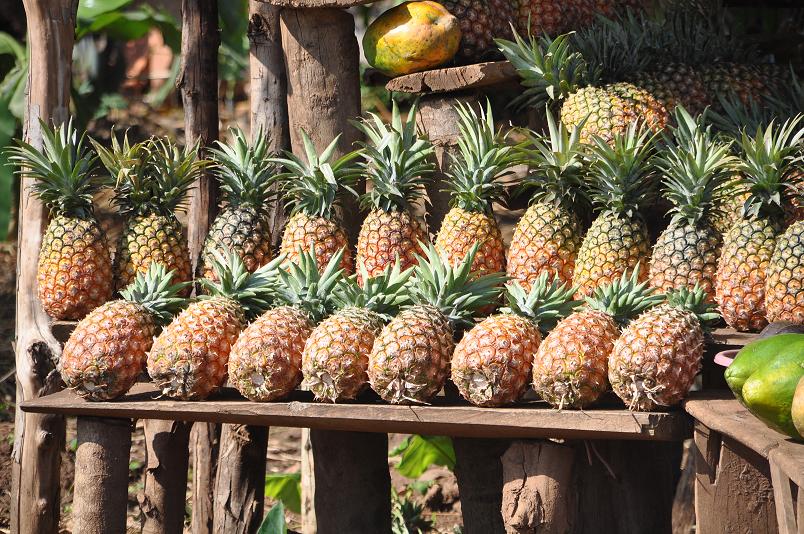 Frisches Obst und Gemuese machen die staubige Strasse halbwegs ertraeglich... Frisches Obst und Gemuese machen die staubige Strasse halbwegs ertraeglich...
