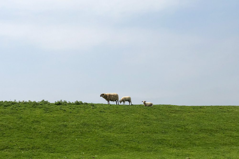 Vater und Sohn Radtour