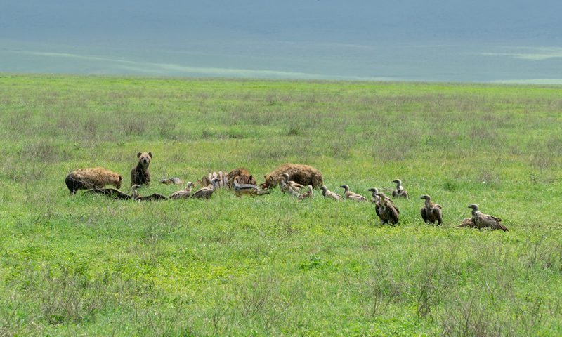 Mit dem Fahrrad unterwegs in Kenia und Tansania