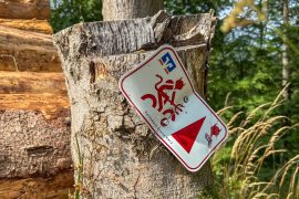 Harz mal anders: Auf dem Devils Trail einmal rundherum // Harz Mountains done differently: all the way round on the Devils Trail