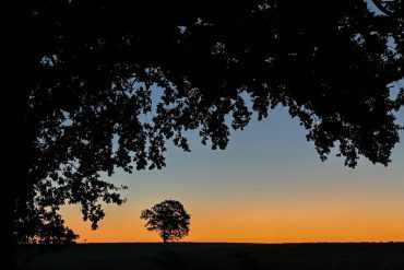 The world on your doorstep: a cycle tour through 14 countries in Schleswig-Holstein